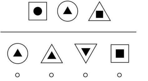 cogat level 9 sample questions